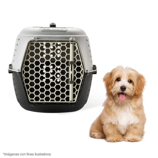 PET BOX a solo Q 199.00