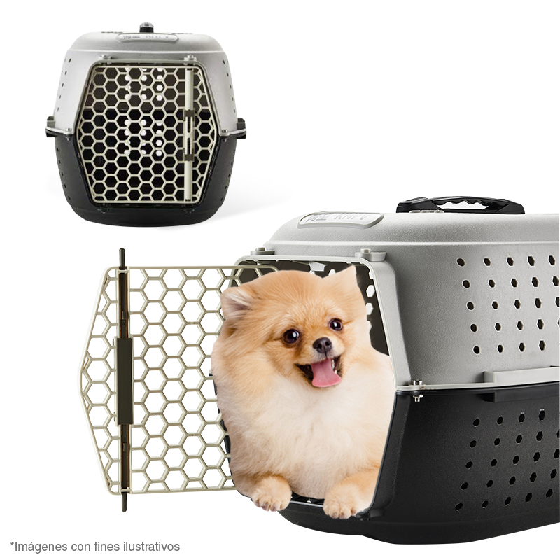 PET BOX a solo Q 199.00