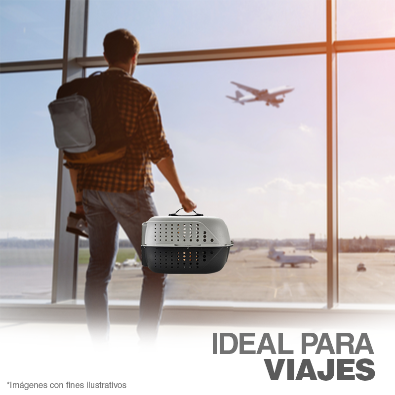 PET BOX a solo Q 199.00