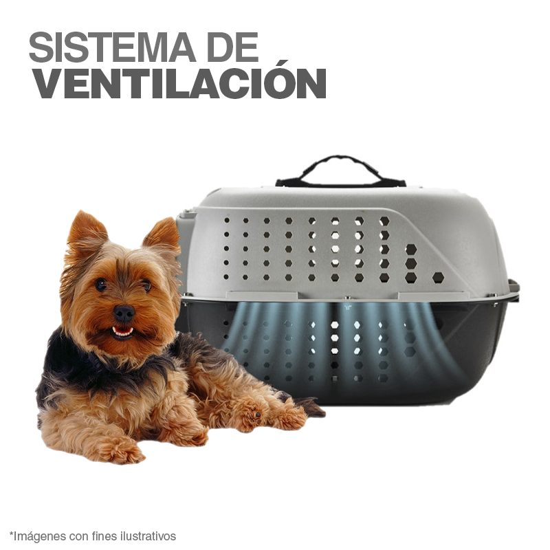 PET BOX a solo Q 199.00